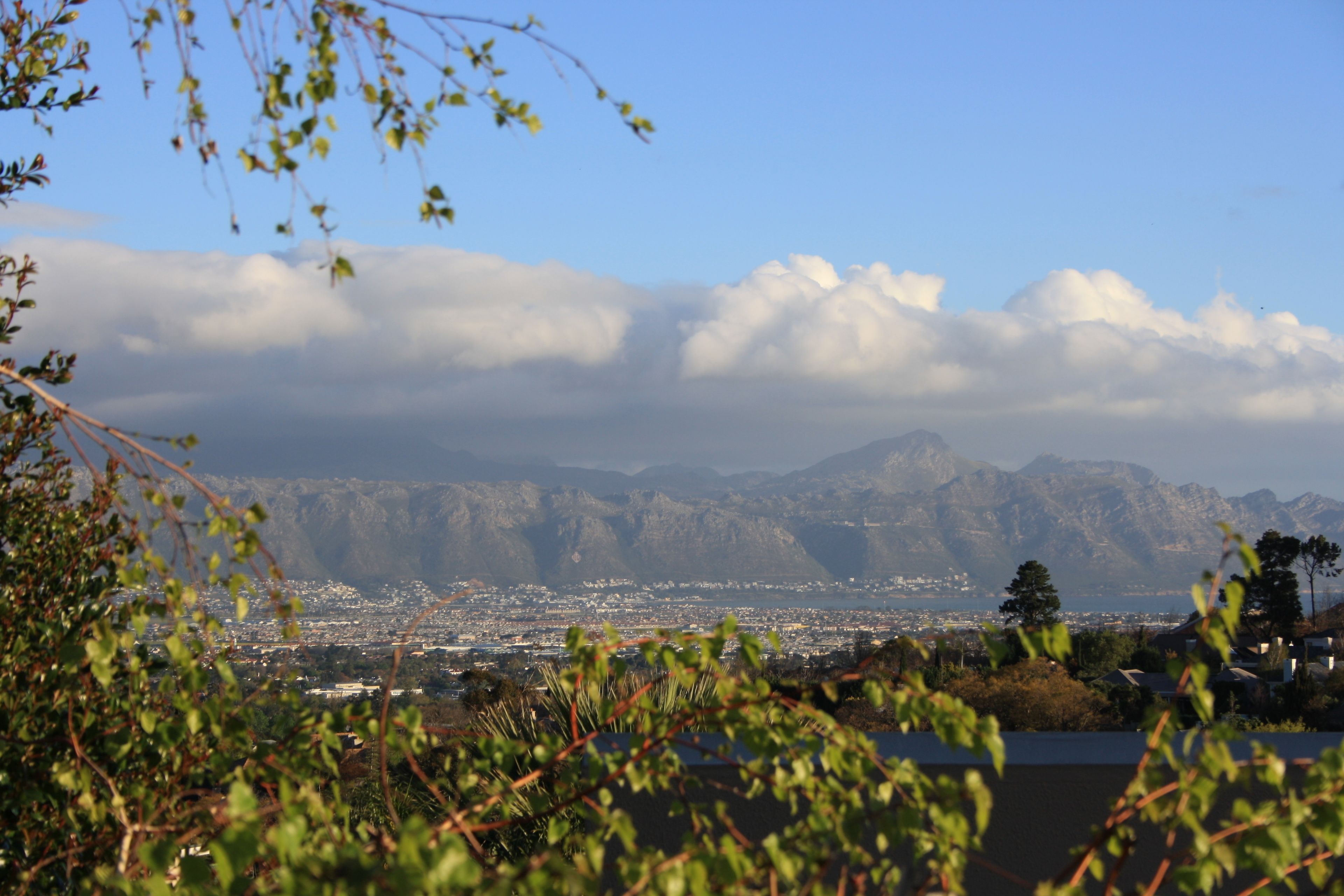 A cityscape with mountains in the background, a clear sky, and some vegetation in the foreground.