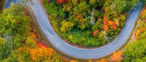 An aerial view of a winding road through a forest with autumn foliage.