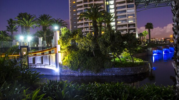 Een nachtzicht van een hotel met een fontein, palmbomen en een brug.