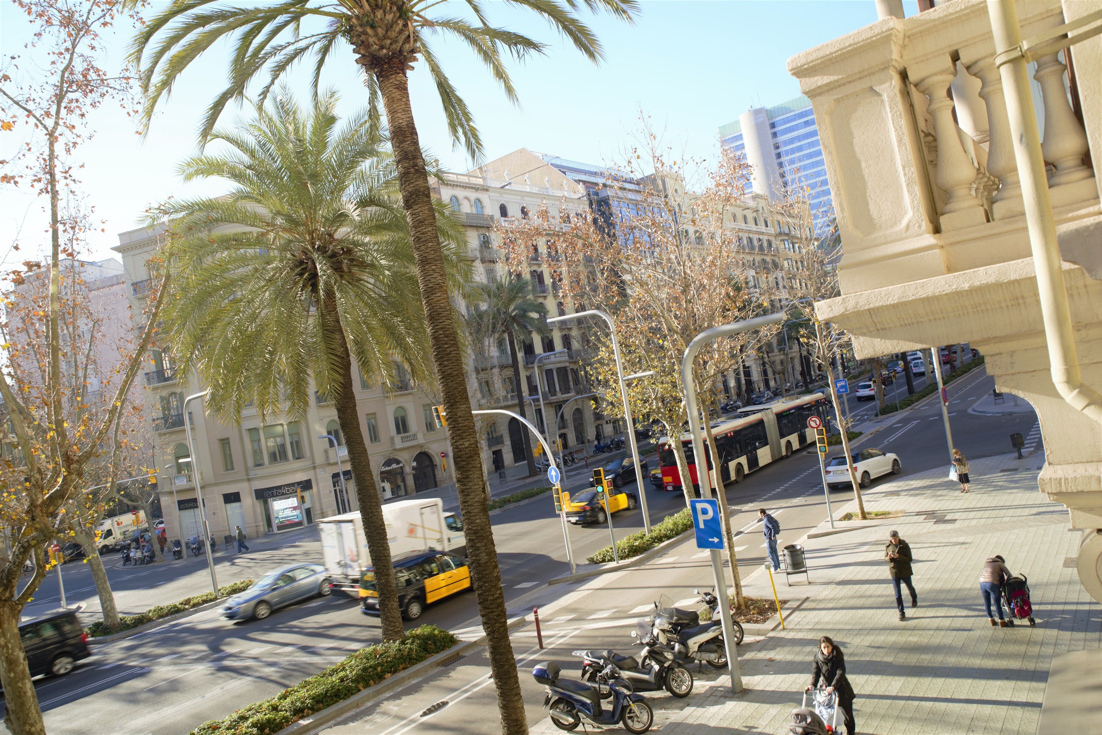 Vista de la calle con palmeras, un edificio de arquitectura clásica y un cielo despejado.