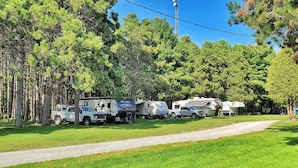 Un camping con vehículos recreativos y camionetas estacionadas a lo largo de un camino de grava, rodeado de árboles densos.