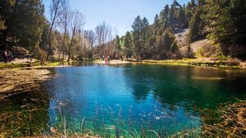A clear lake surrounded by trees and a group of people.