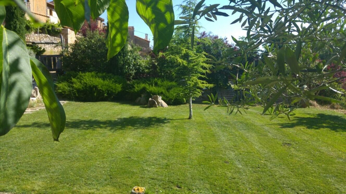 Un césped bien cuidado con un pequeño árbol y una estructura de piedra al fondo.