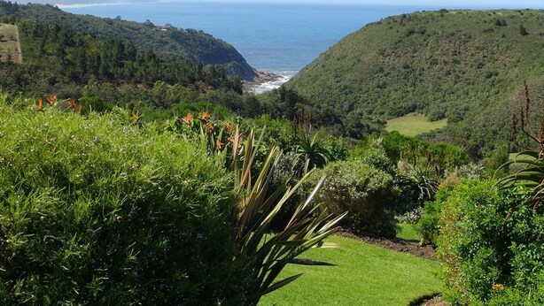 A lush green landscape with a view of the ocean. - Carmel Guest Farm (Wilderness)