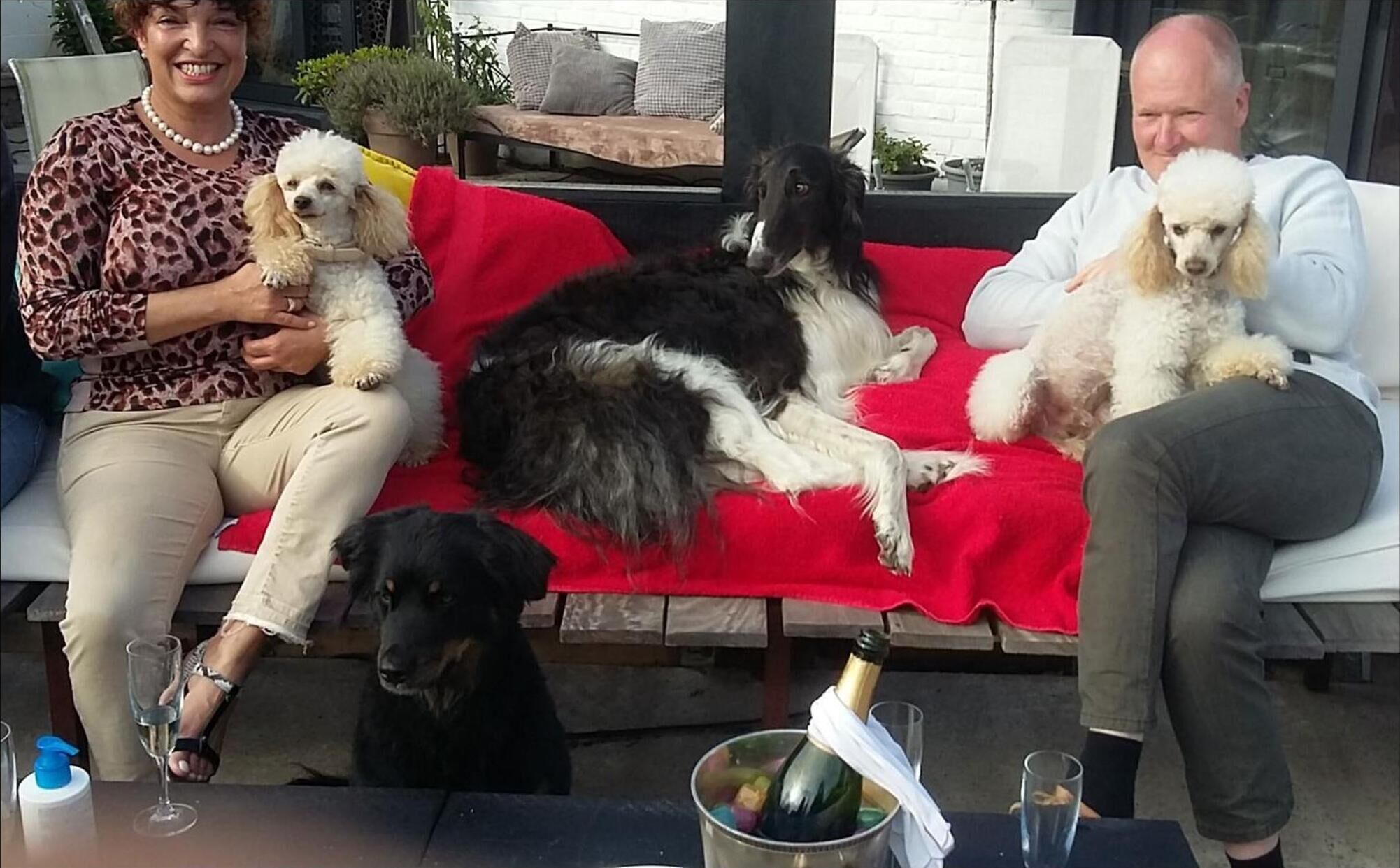Un groupe de personnes et de chiens sont assis sur un canapé rouge à l’extérieur, devant une table.