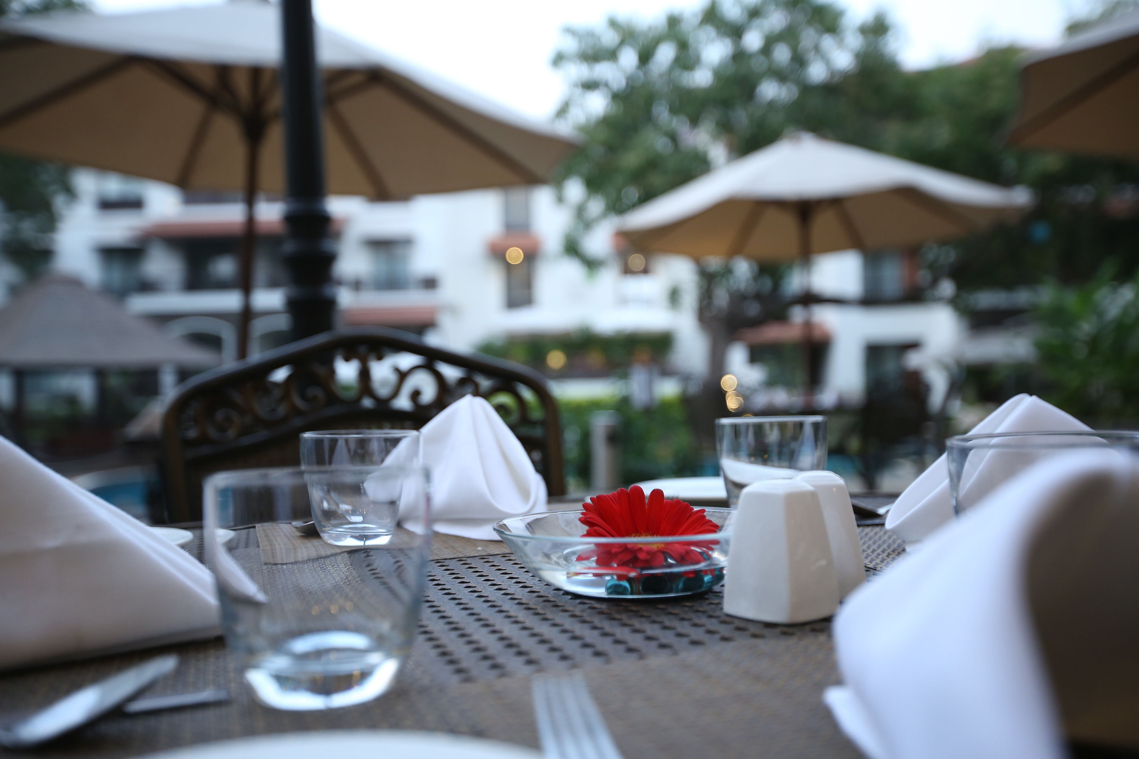An outdoor dining table with a clear glass, a white napkin, a red flower, and a salt and pepper shaker.