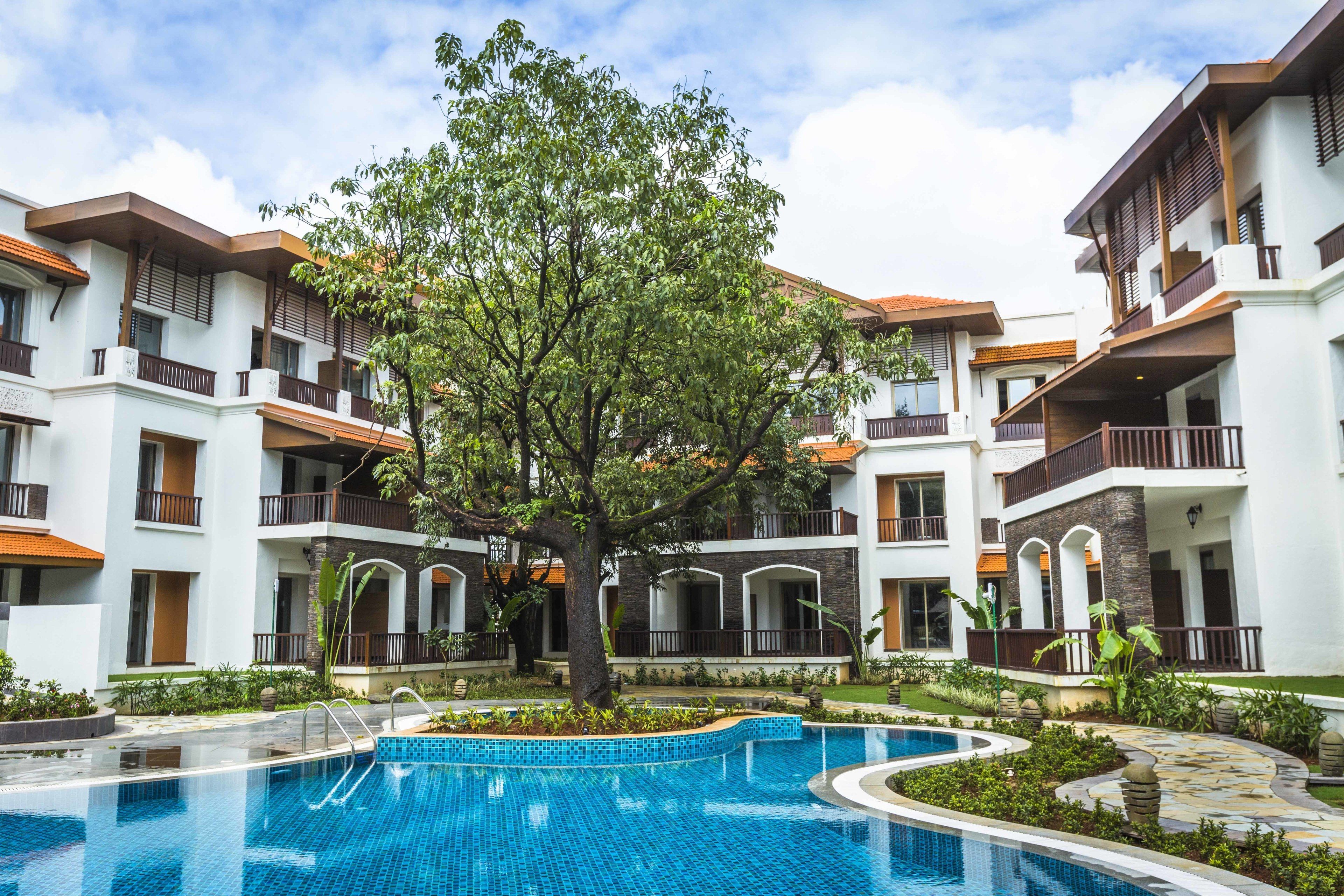 Un hôtel doté d’une piscine entourée d’une végétation luxuriante et d’un arbre au centre.
