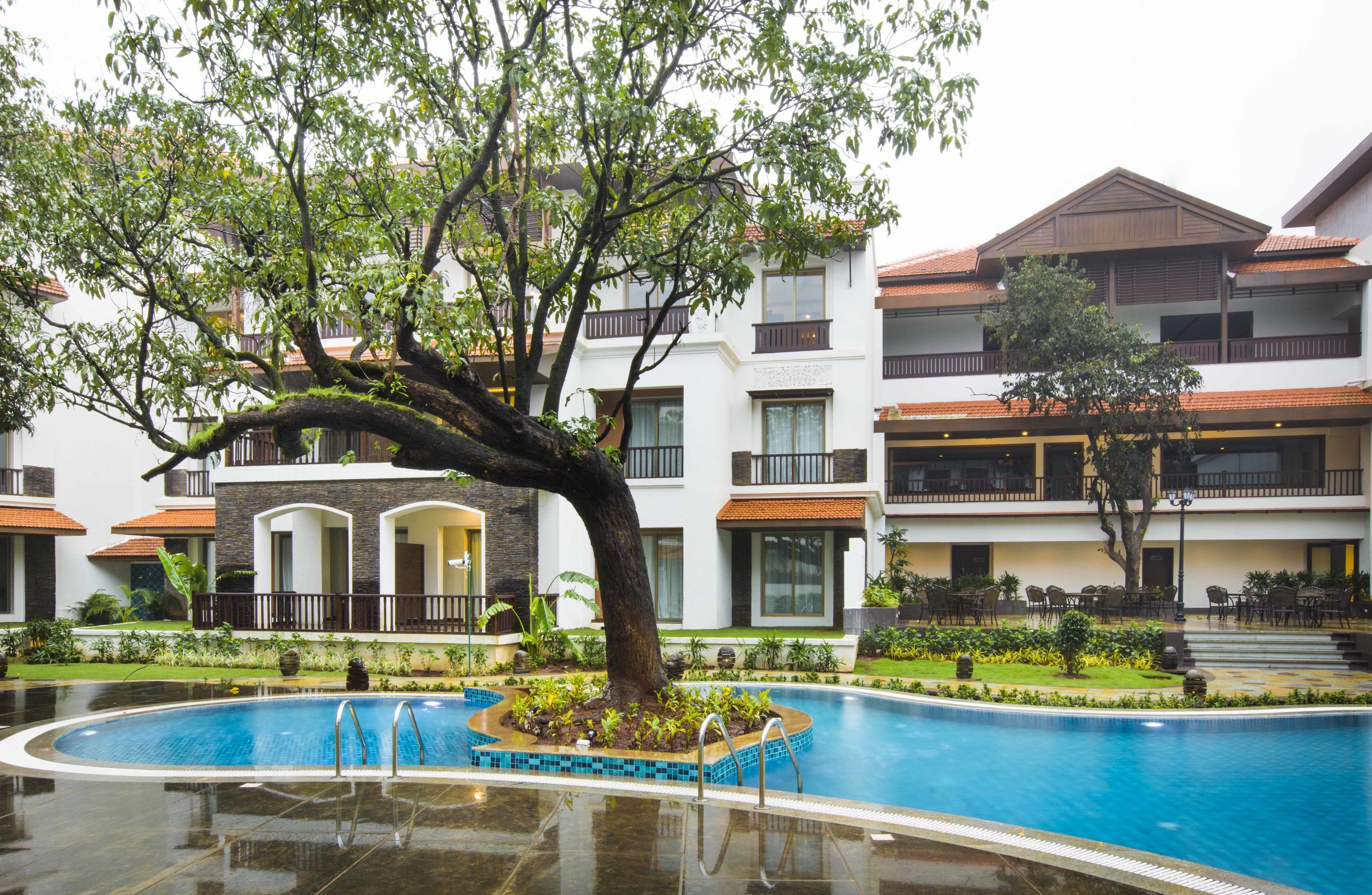A hotel with a swimming pool surrounded by lush greenery and a large tree.