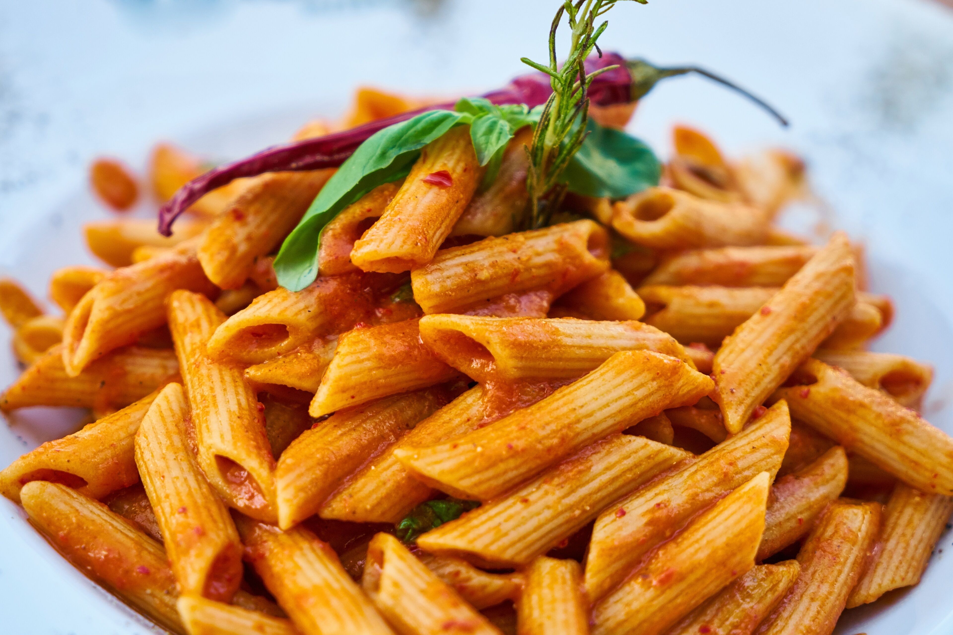 Eine Portion Penne-Pasta mit Tomatensoße, garniert mit Basilikum und einer roten Chilischote.