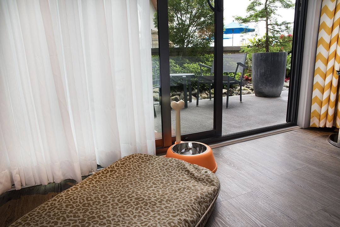 premium bedding, minibar, desk, blackout curtains