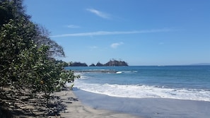 Pesca