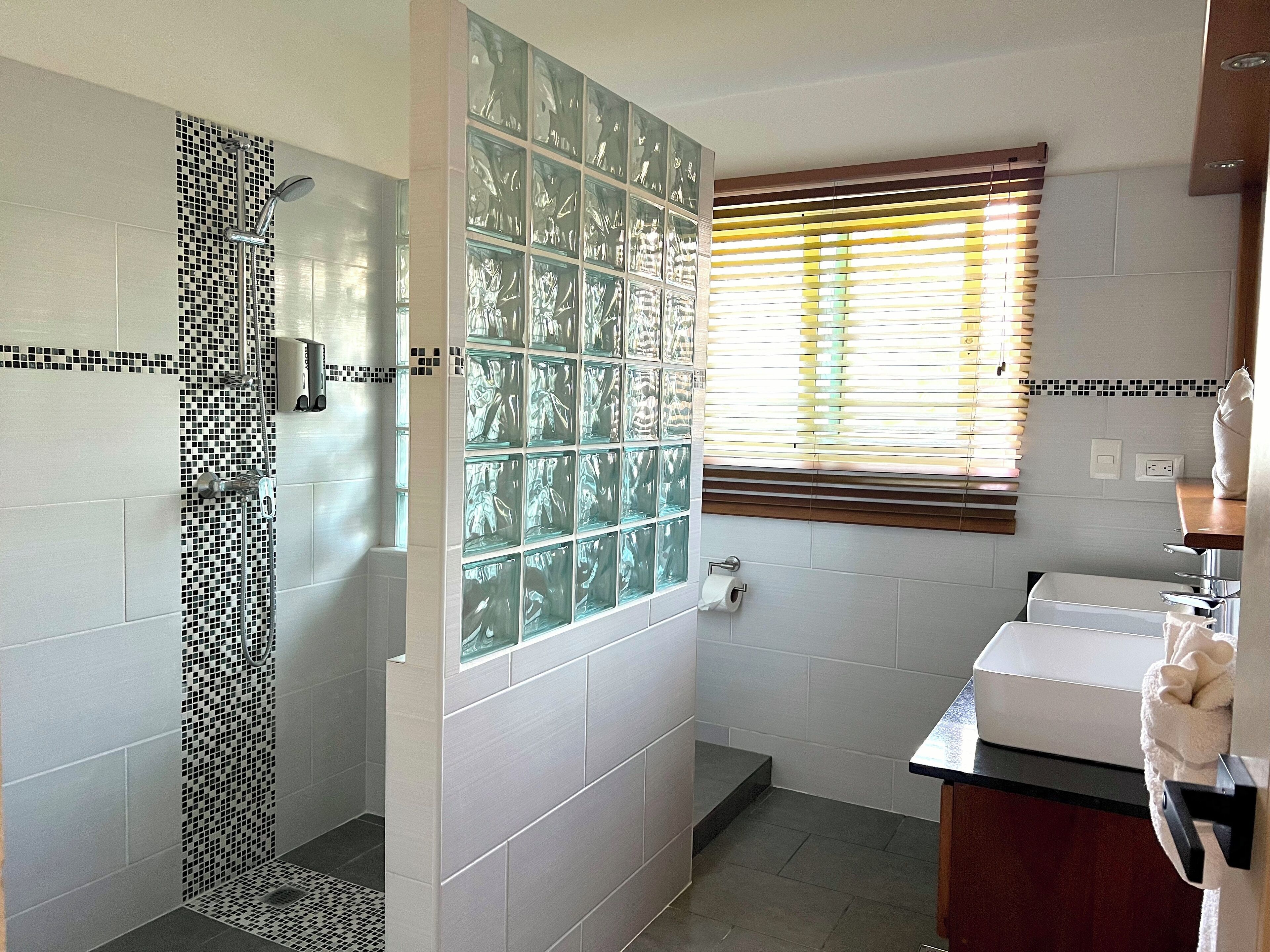 Un baño con ducha, pared de bloques de vidrio, ventana con persianas y lavamanos con dispensador de toallas.
