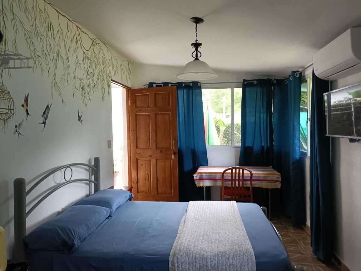 Bed and Breakfast Little Italy