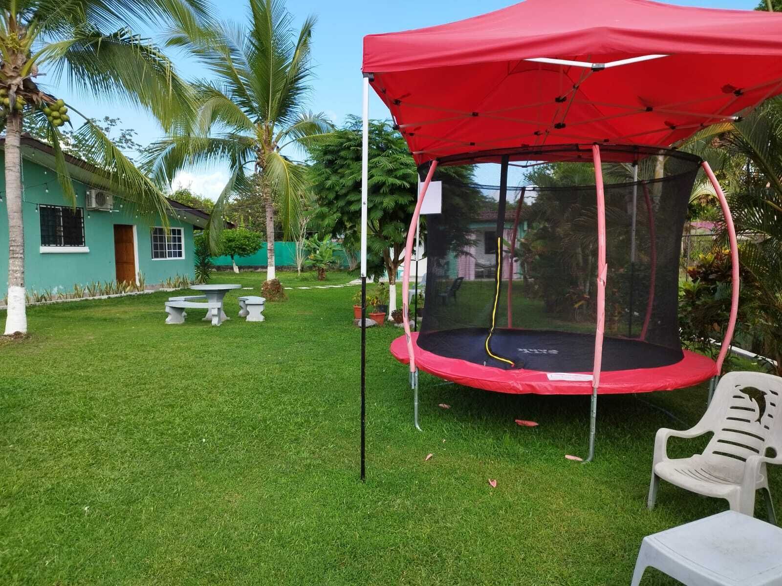 A trampoline under a red canopy in a grassy backyard with palm trees and a house in the background.