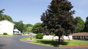 A motel with a white exterior, a fenced yard, and a large tree in front. - Fran Cove Motel (Lake George)