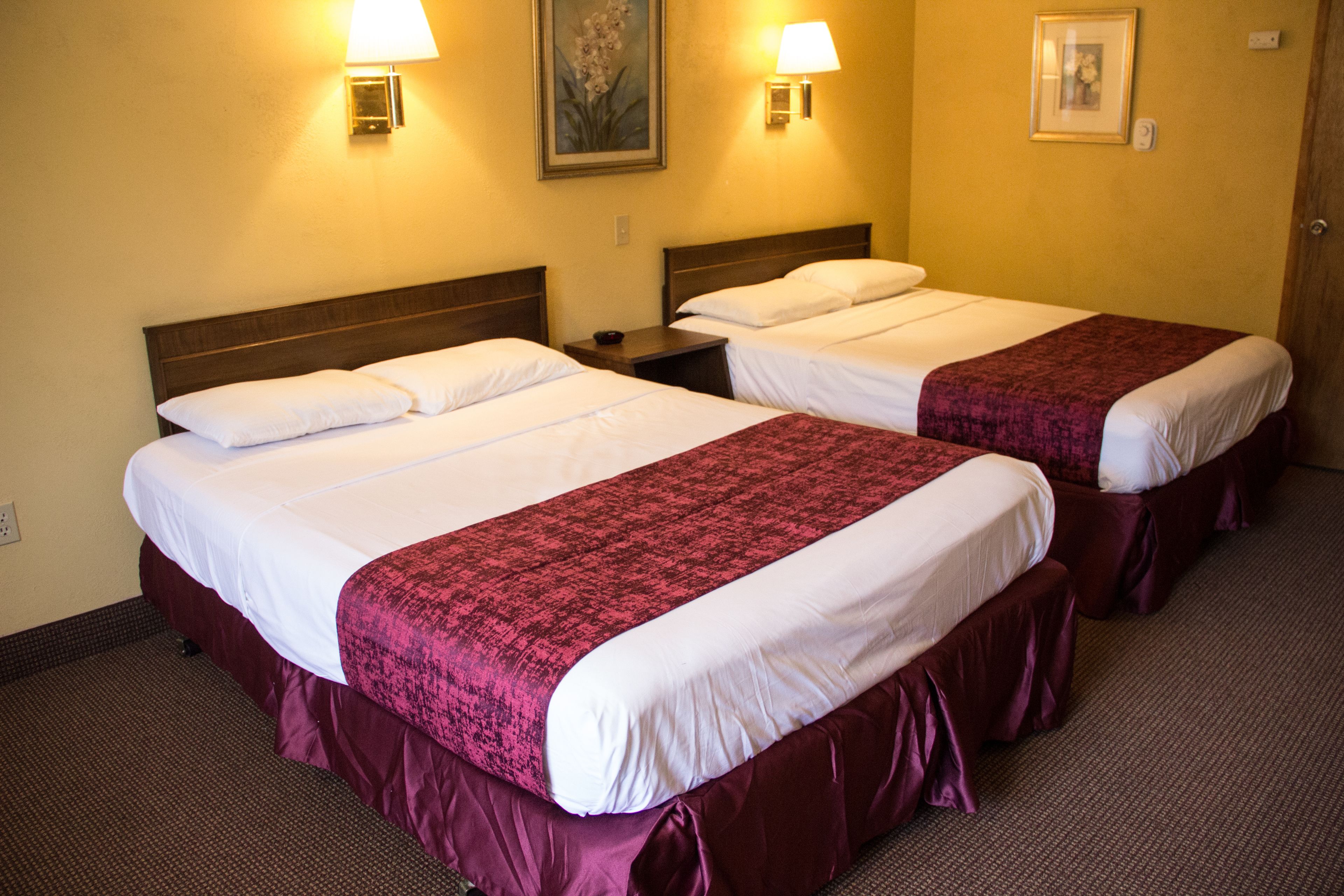 Foto - Fran Cove Motel