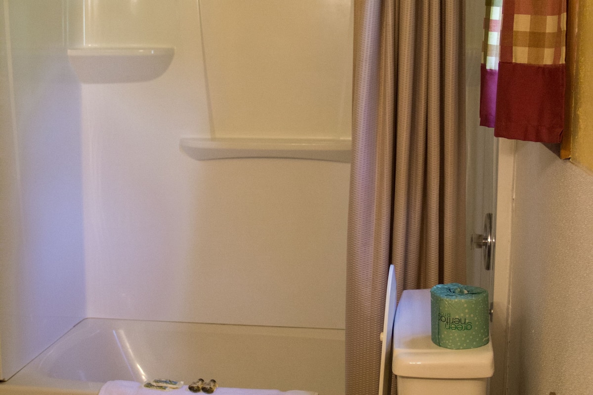 Une salle de bain équipée de toilettes, d’une baignoire et d’un rideau de douche.