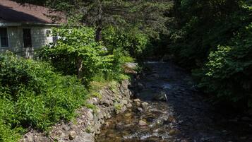 Una casa junto a un arroyo rocoso, rodeada de vegetación exuberante.
