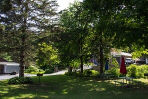 Área de parrillas y picnic