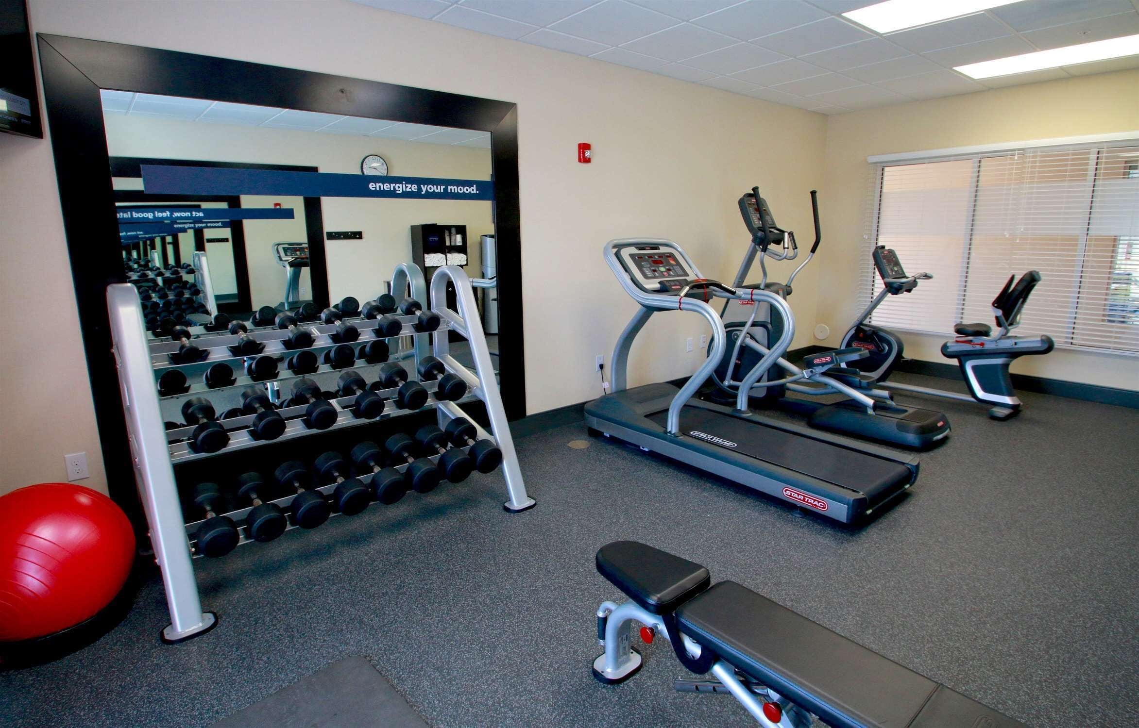 A gym with treadmills, dumbbells, and a red exercise ball.