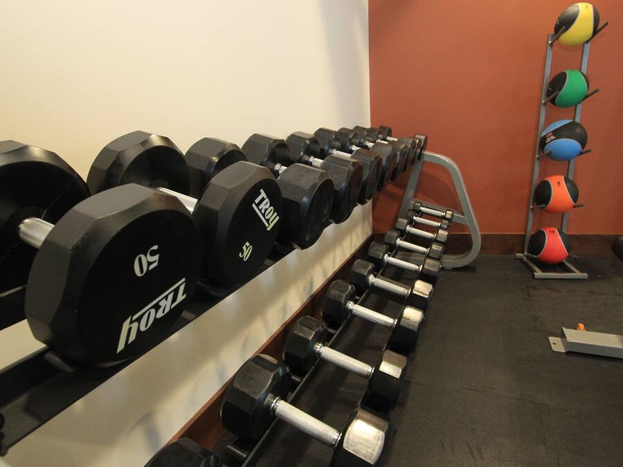 A row of black dumbbells with weight markings, a wall-mounted exercise ball rack, and a grey exercise bench.