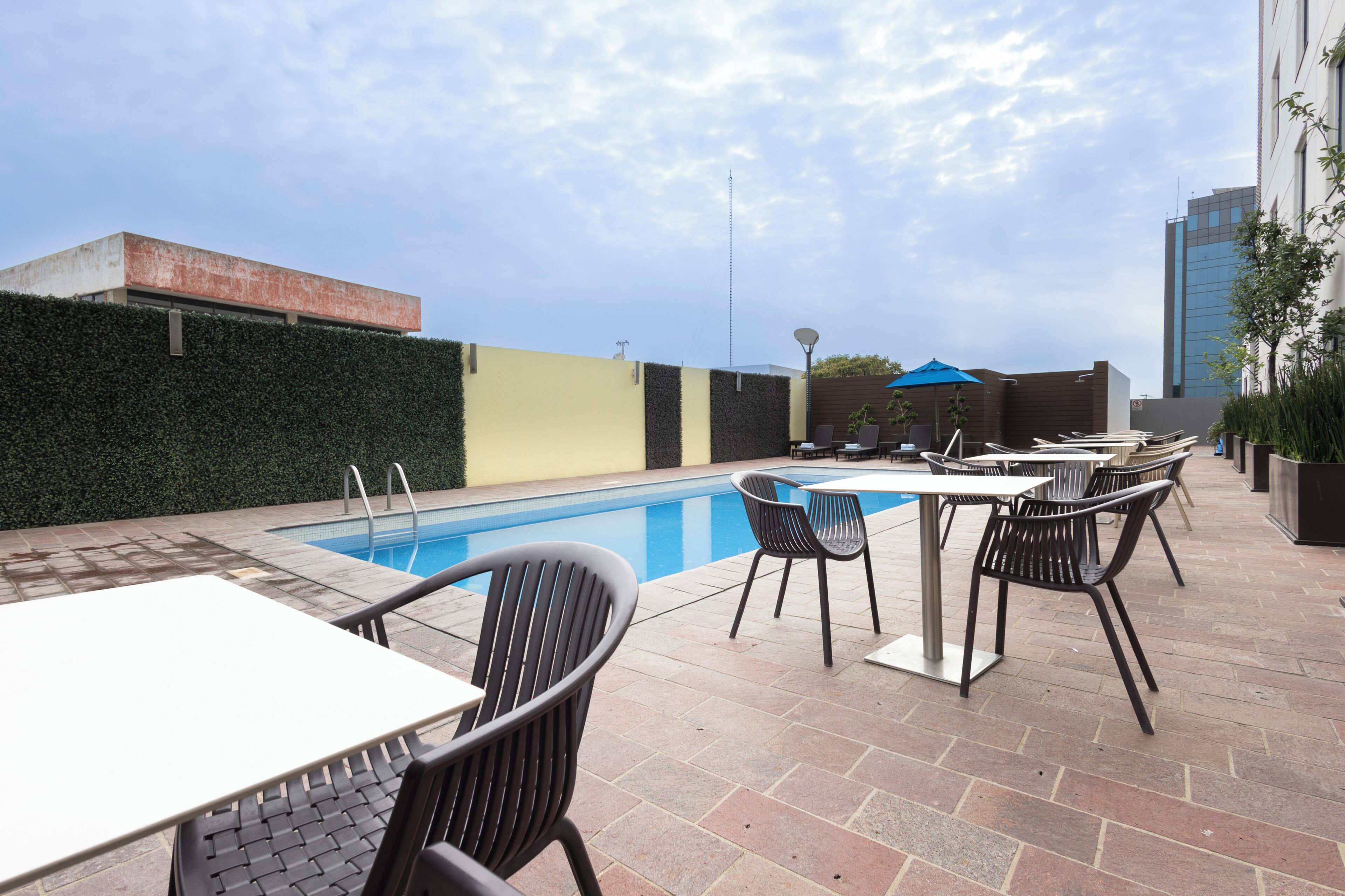 Zona de piscina en la azotea con una piscina azul cristalina, rodeada de mobiliario exterior y un seto verde.