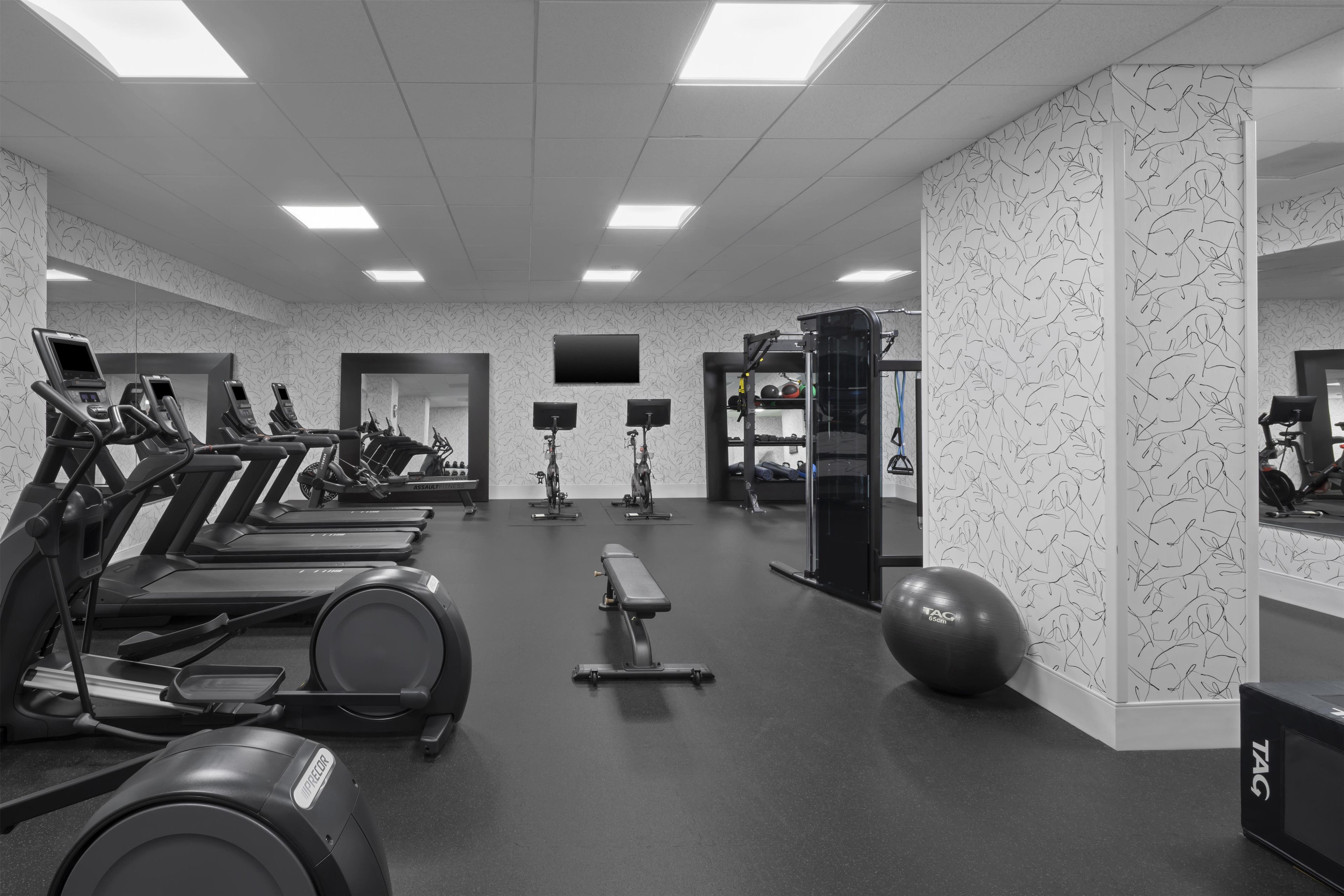 Un gimnasio con cintas de correr, una banca, una estructura para sentadillas y pelotas de ejercicio.