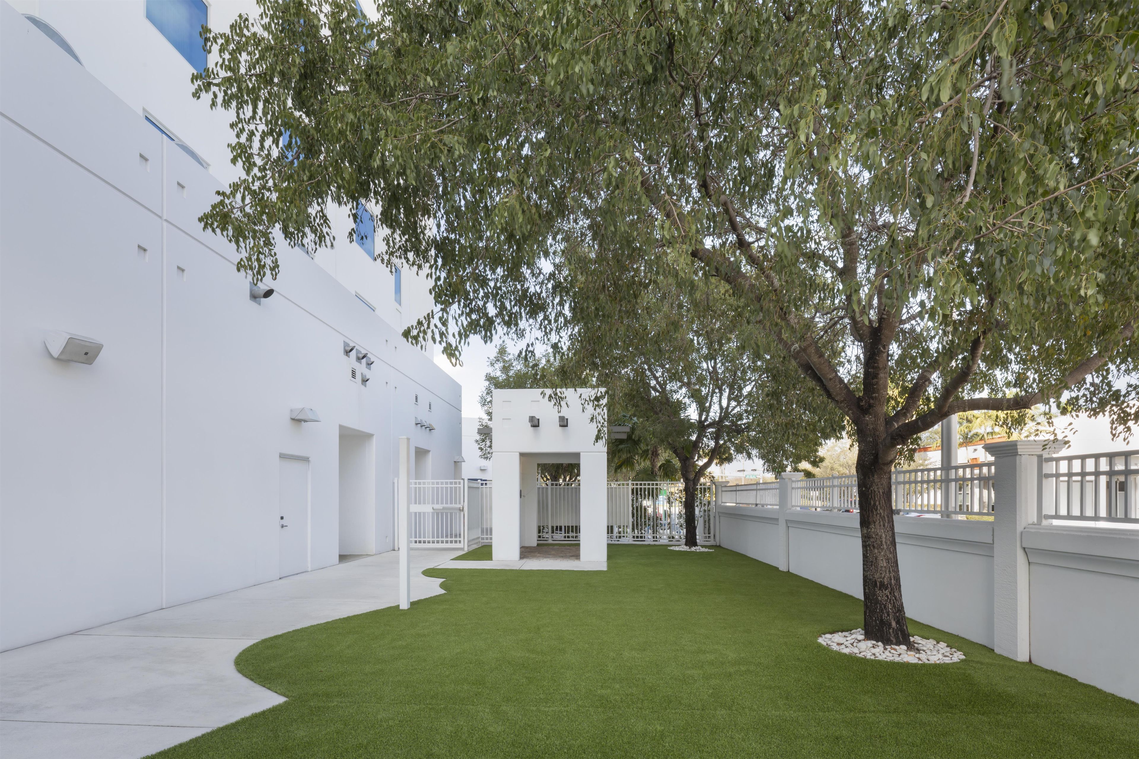 Un edificio moderno con facciata bianca, un prato curato e un albero al centro.