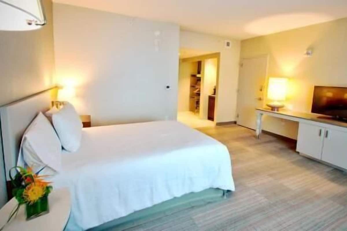 Hypo-allergenic bedding, in-room safe, desk, laptop workspace