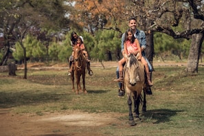 A dirt path with people riding horses. - Abba Eco Adventure (Concepcion de Buenos Aires)