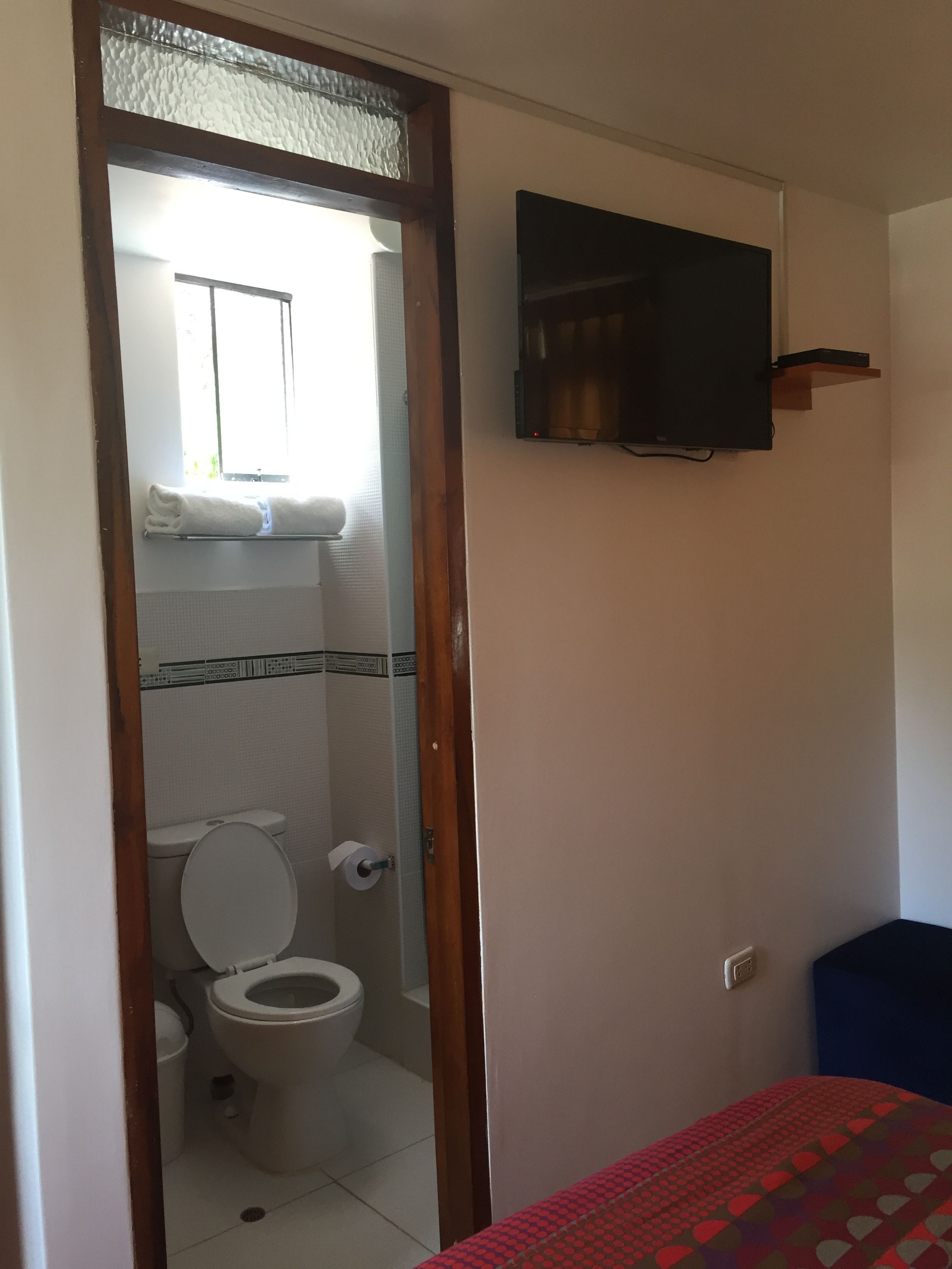 A bathroom with a toilet, a towel rack, and a television mounted on the wall.