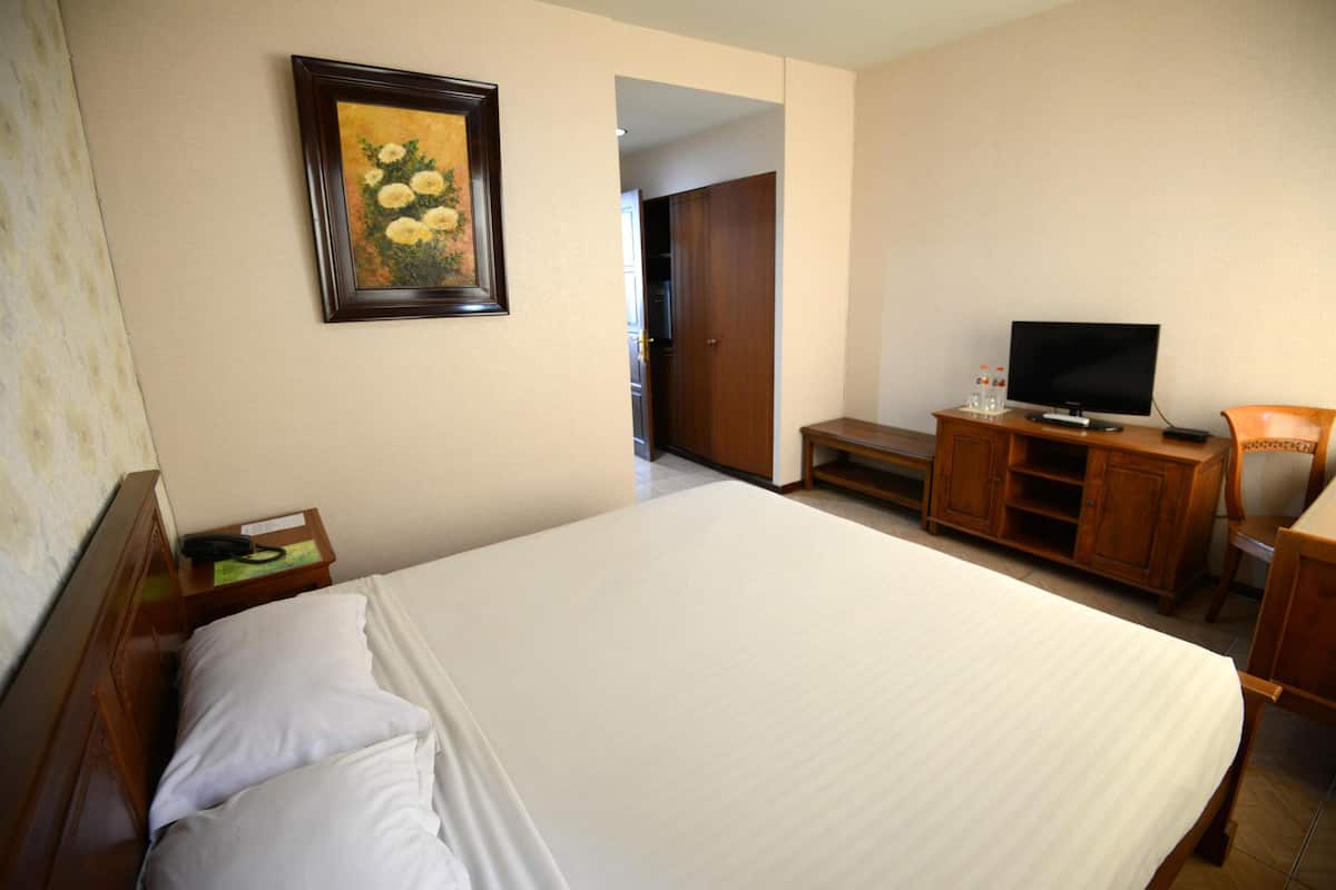 Habitación de hotel con una cama grande, un televisor, un escritorio de madera y un cuadro en la pared.