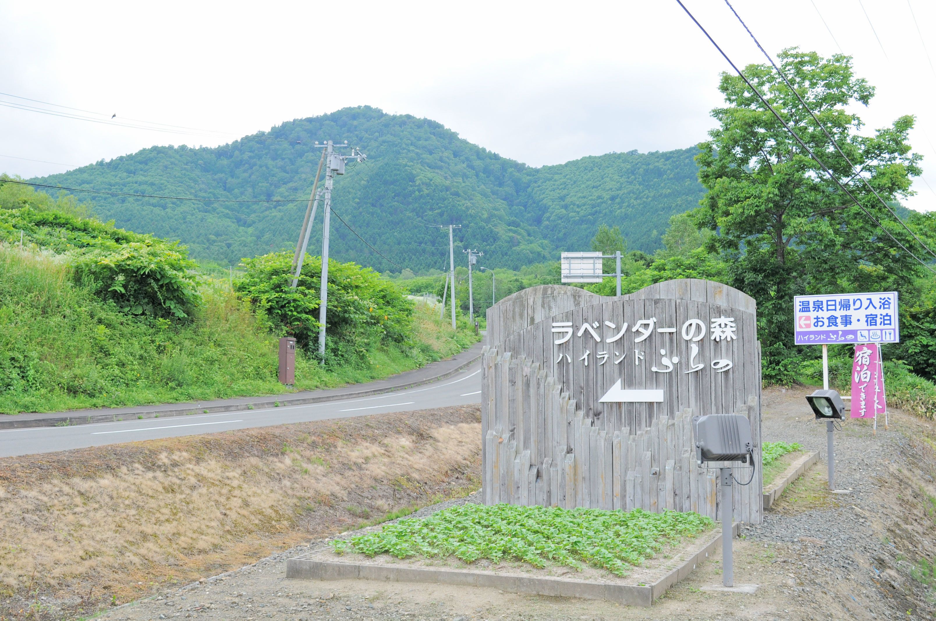 Un panneau en bois avec du texte en japonais, une route et un paysage montagneux.