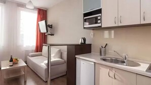 Premium Studio | Private kitchen | Coffee/tea maker, full-size fridge, microwave, stovetop - Lux Aparthotel (Krakow)