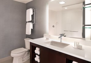 Combined shower/bathtub, free toiletries, hair dryer, towels