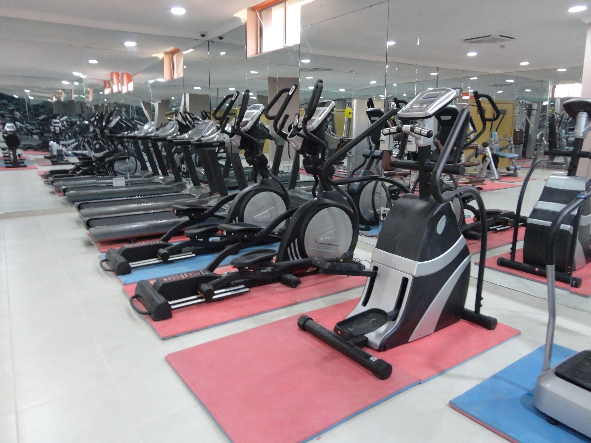 A gym with multiple treadmills and stationary bikes arranged in rows.
