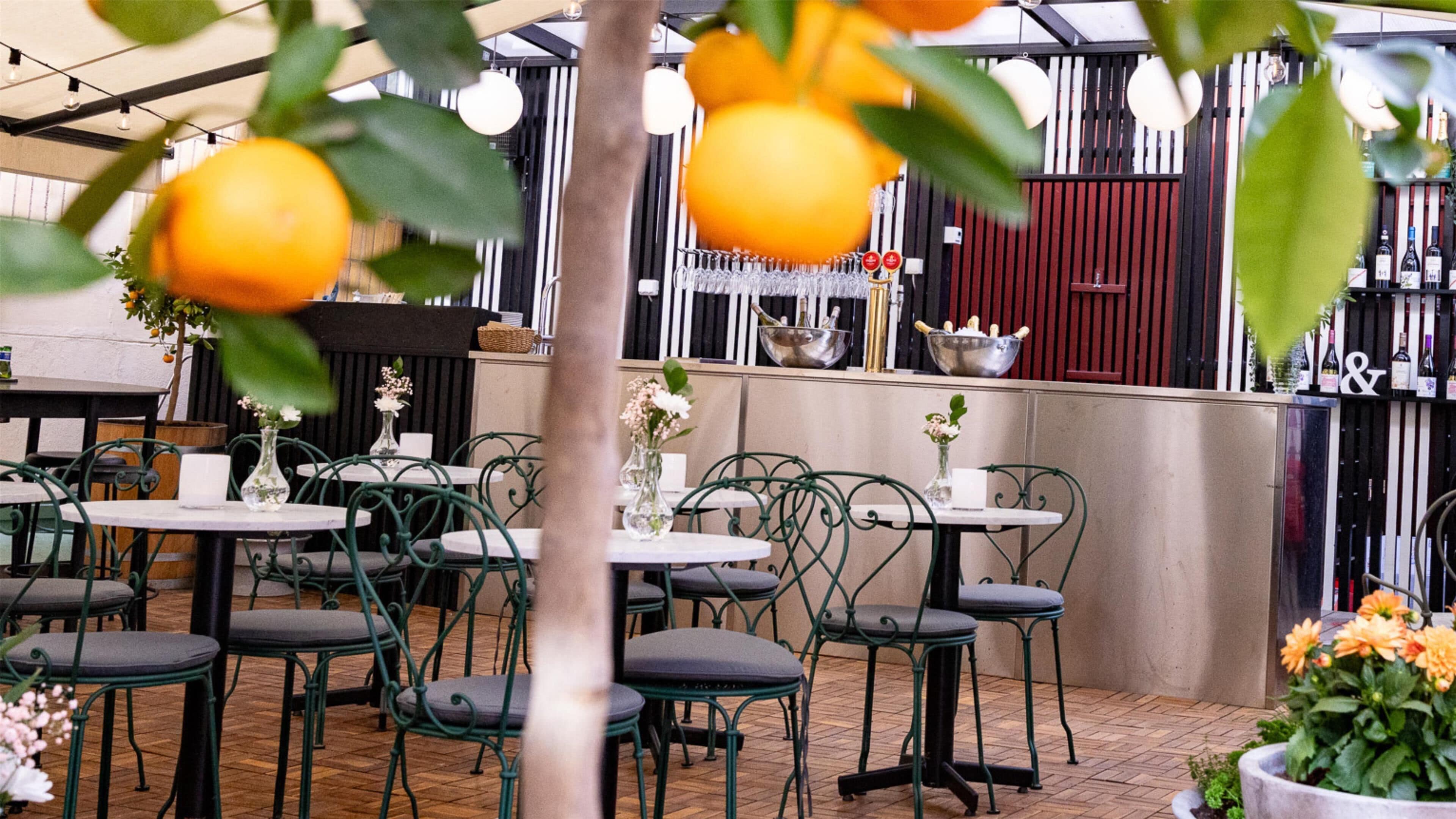 Un espace extérieur aménagé avec des tables et des chaises, un bar avec des bouteilles et des verres, et une plante en pot.