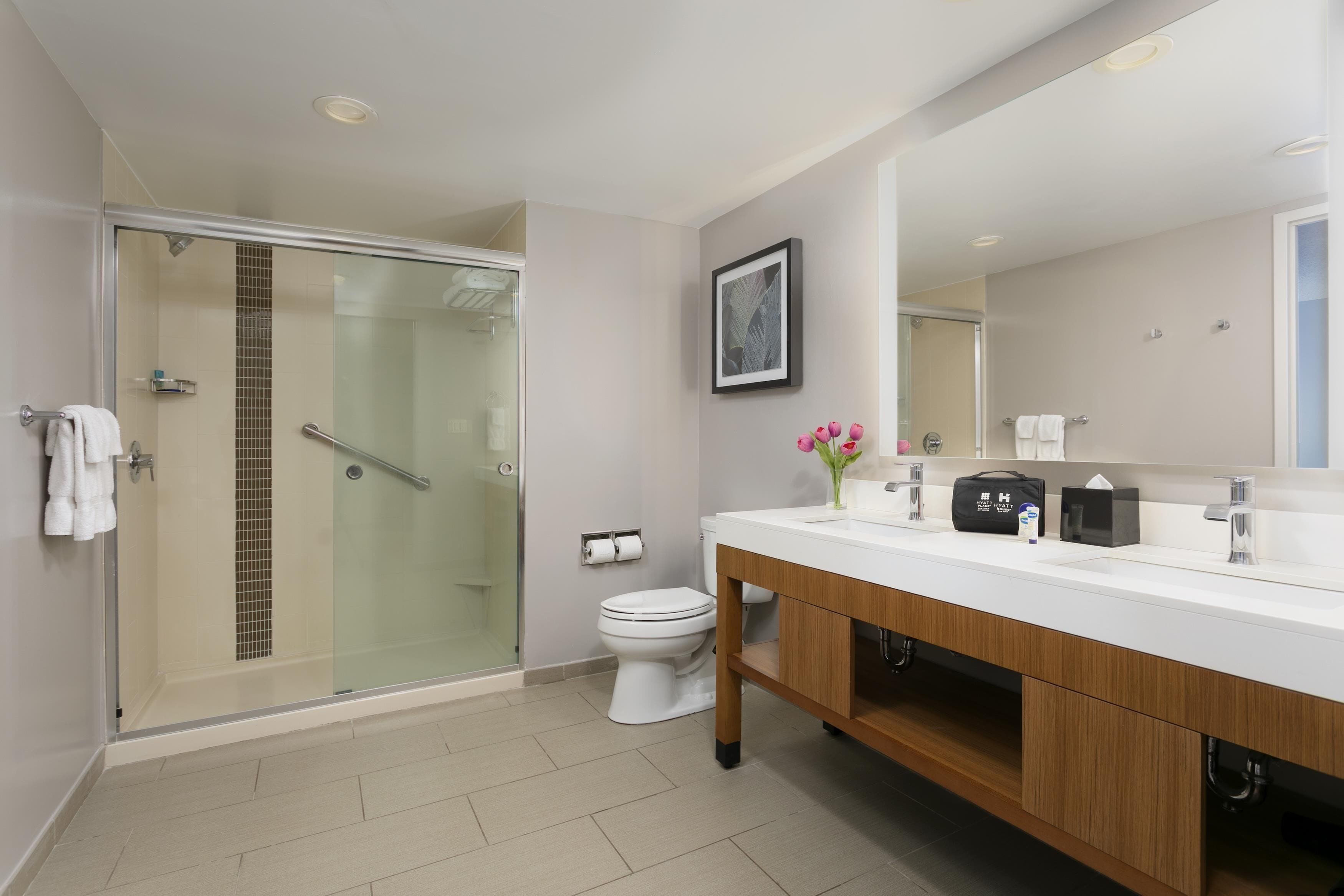 suite, 1 king bed with sofa bed | bathroom | combined shower/bathtub, designer toiletries, hair dryer, towels