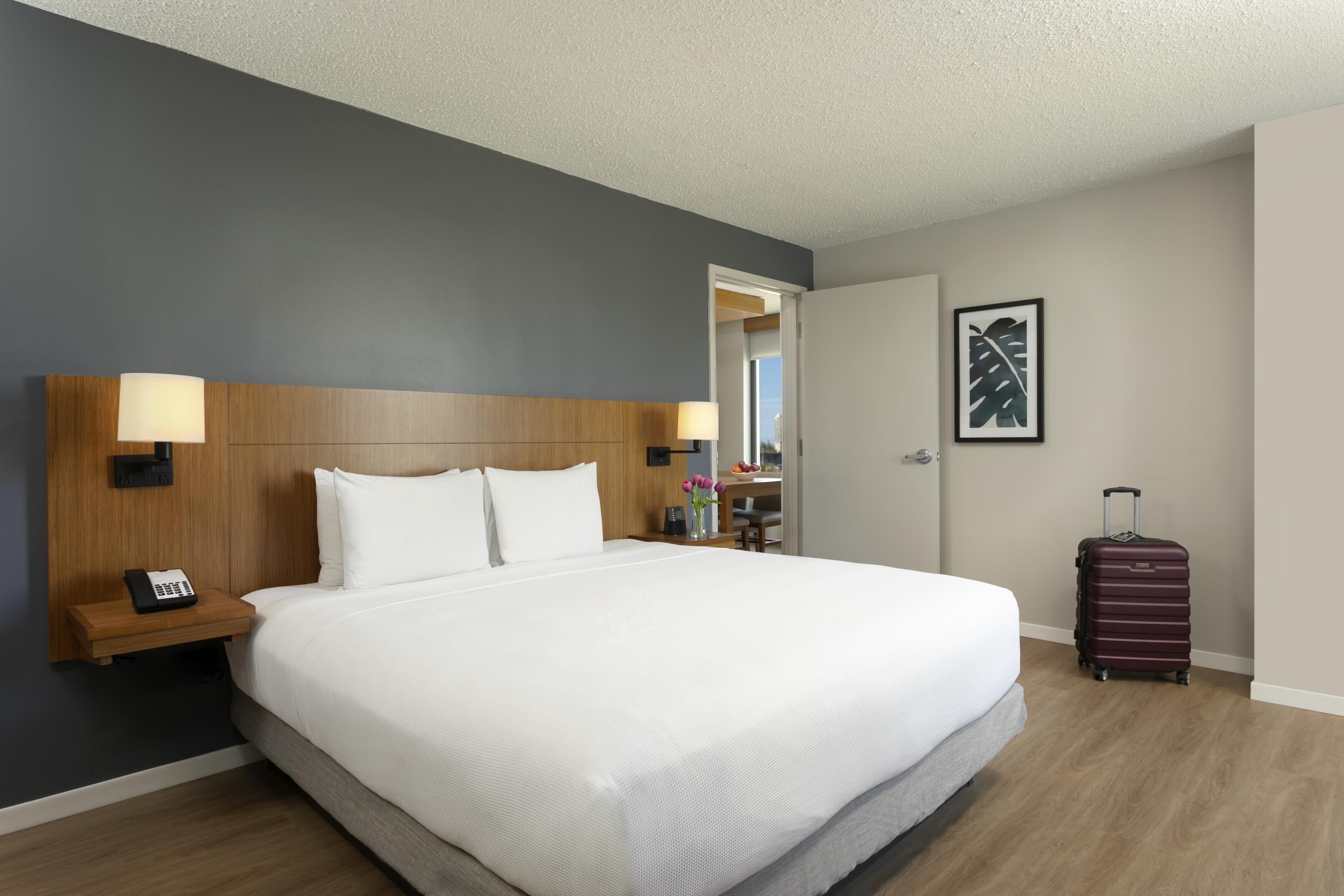 Room, 1 King Bed with Sofa bed