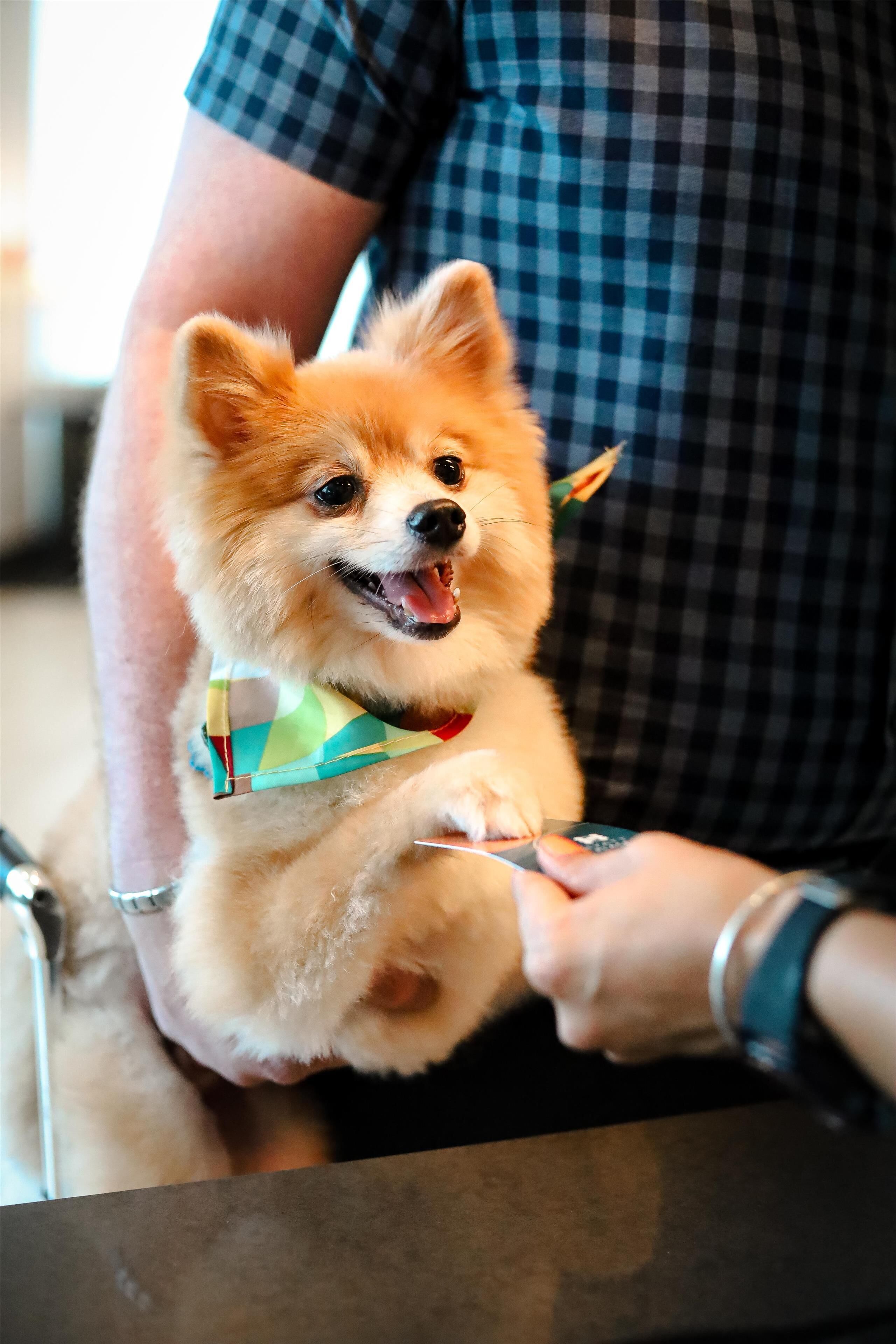 Foto - Hyatt Place San Juan