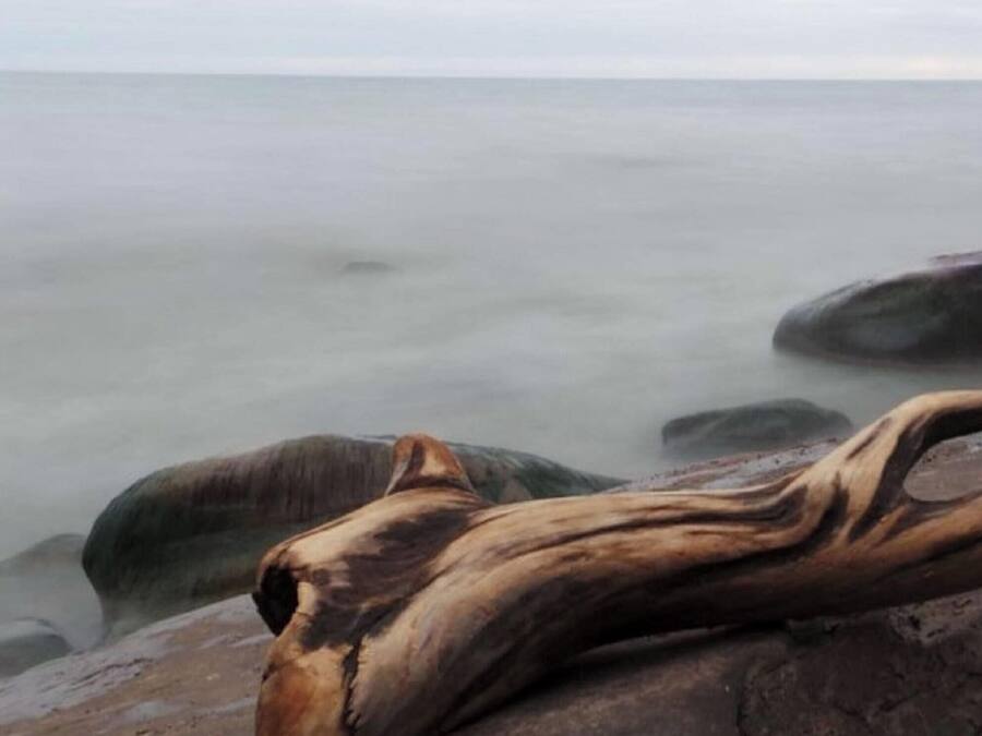 A wooden log on a rocky shore with calm water in the background.