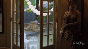 A statue in a room with a large window. - Maxwell Mansion (Lake Geneva)