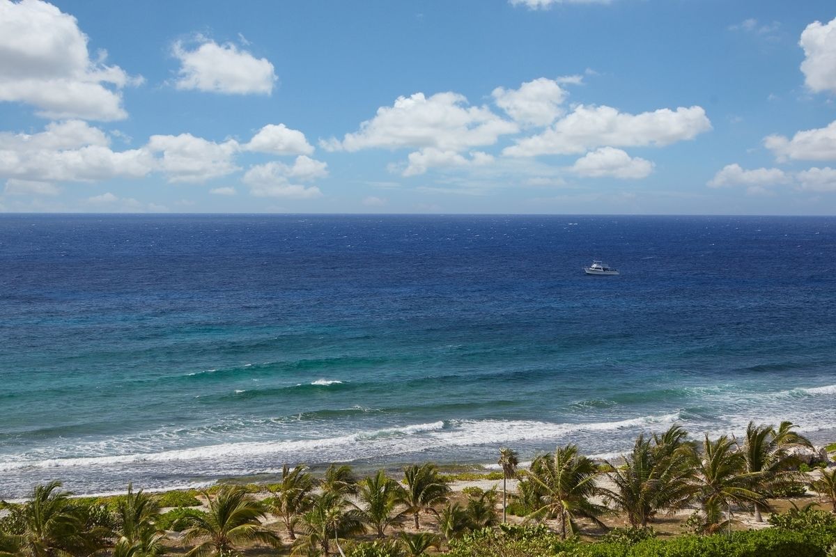 Una playa con palmeras y un bote en el océano.