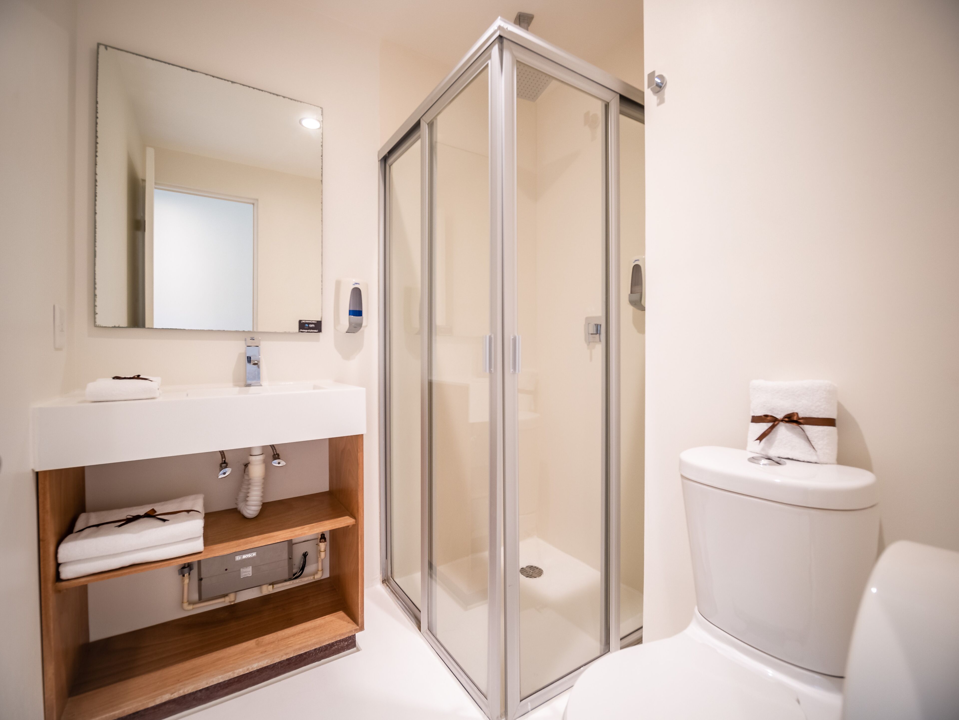 shower, free toiletries, towels, soap