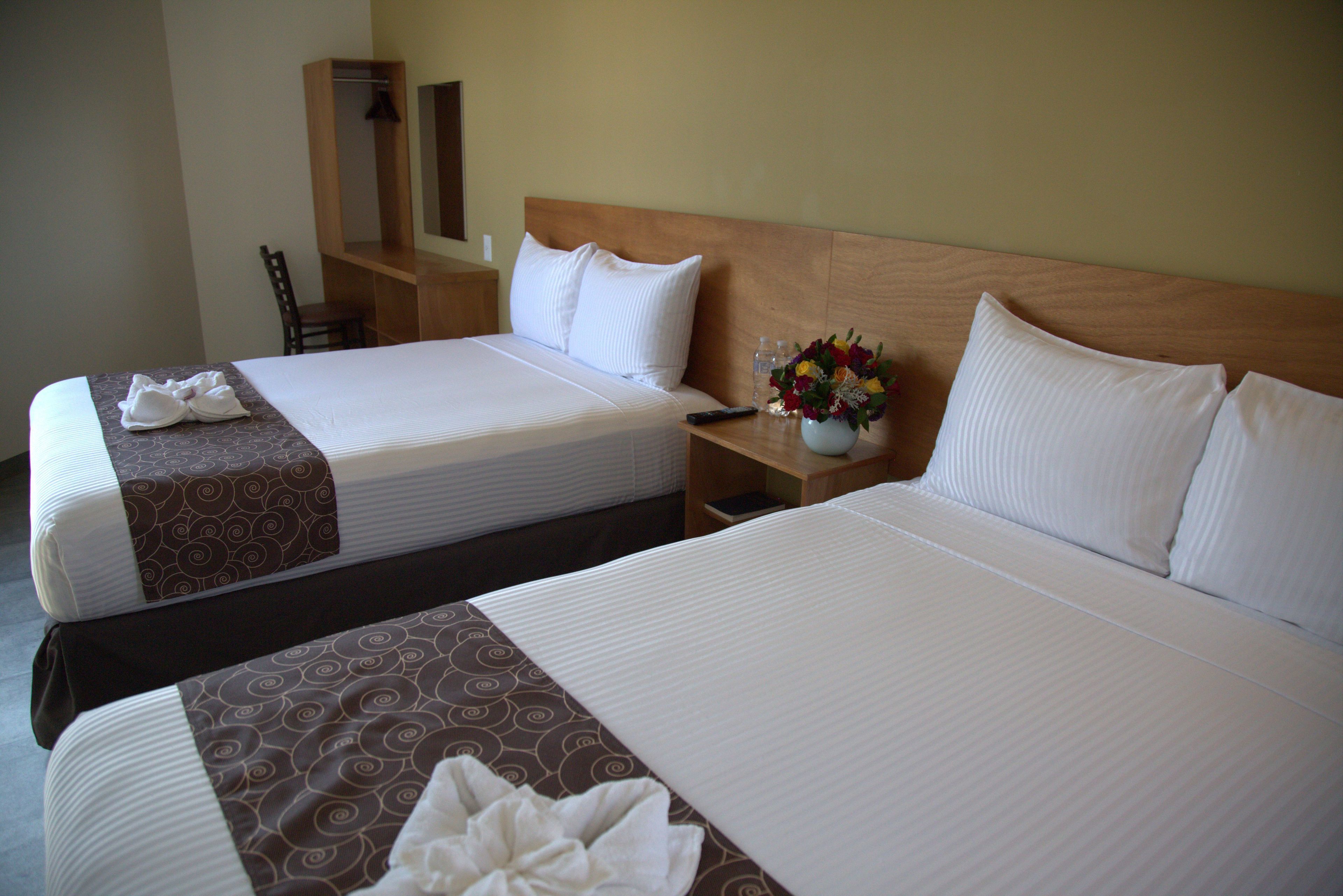 standard double room | premium bedding, desk, soundproofing, free wifi