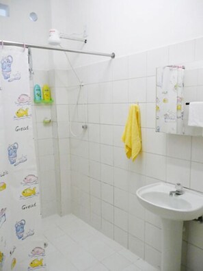 Douche, séchoir à cheveux, serviettes fournies