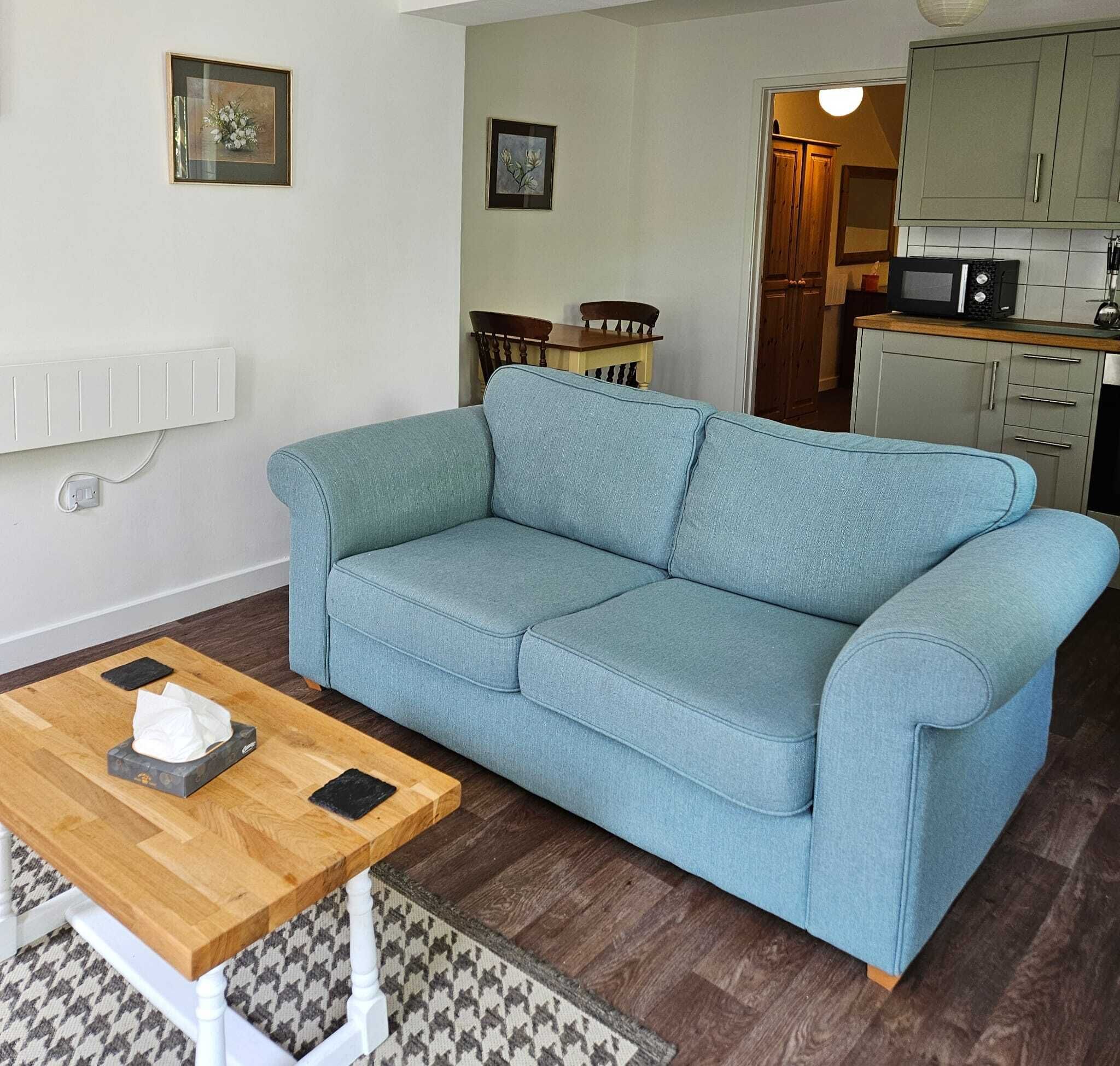 Ein Wohnzimmer mit einem hellblauen Sofa, einem Couchtisch aus Holz mit einer Taschentuchbox, einem Hundeohren-Teppich und einer Küchenzeile mit Schränken und einer Mikrowelle.