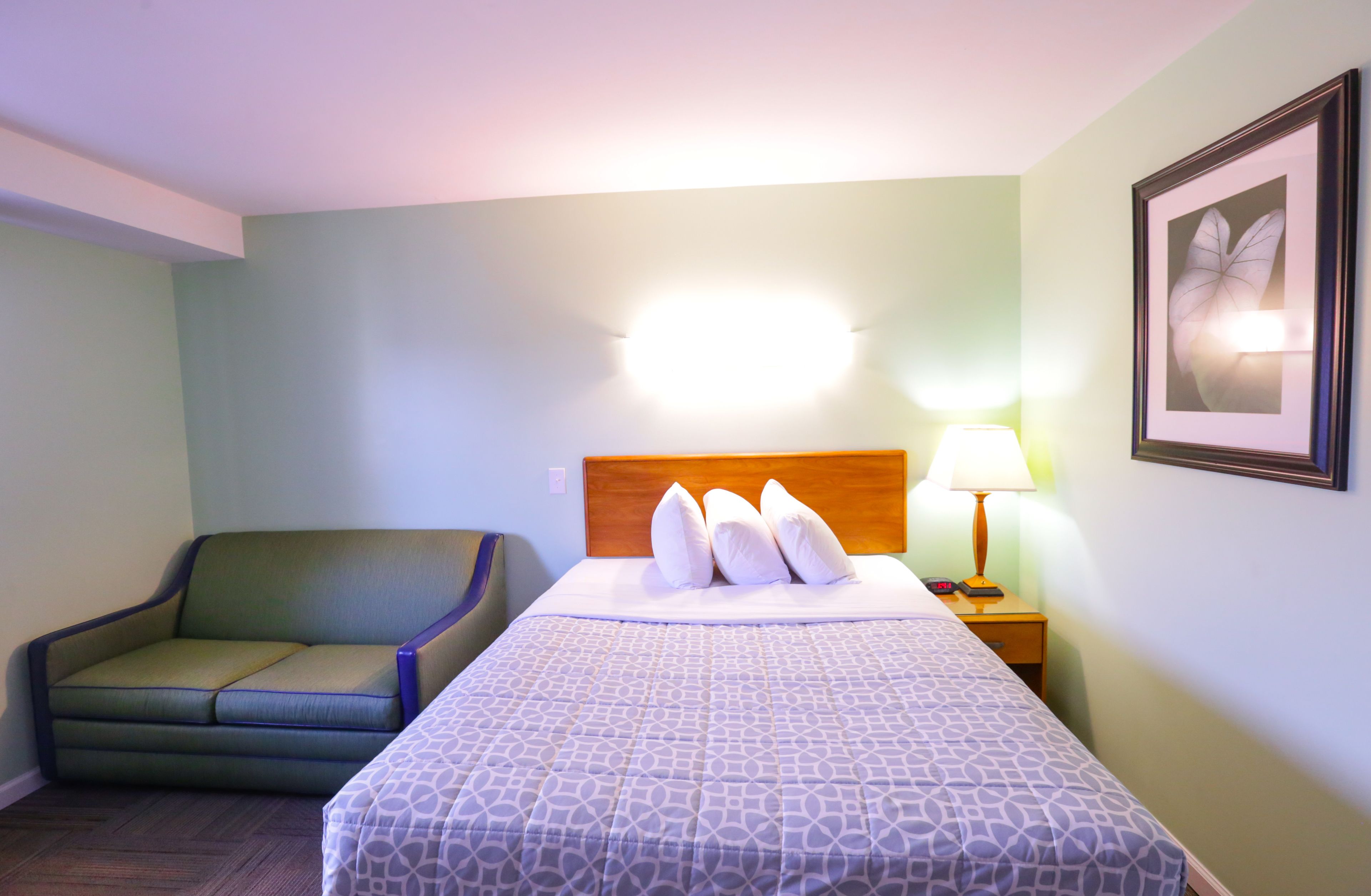 A hotel room with a bed, a chair, a nightstand with a lamp, and a framed picture on the wall.