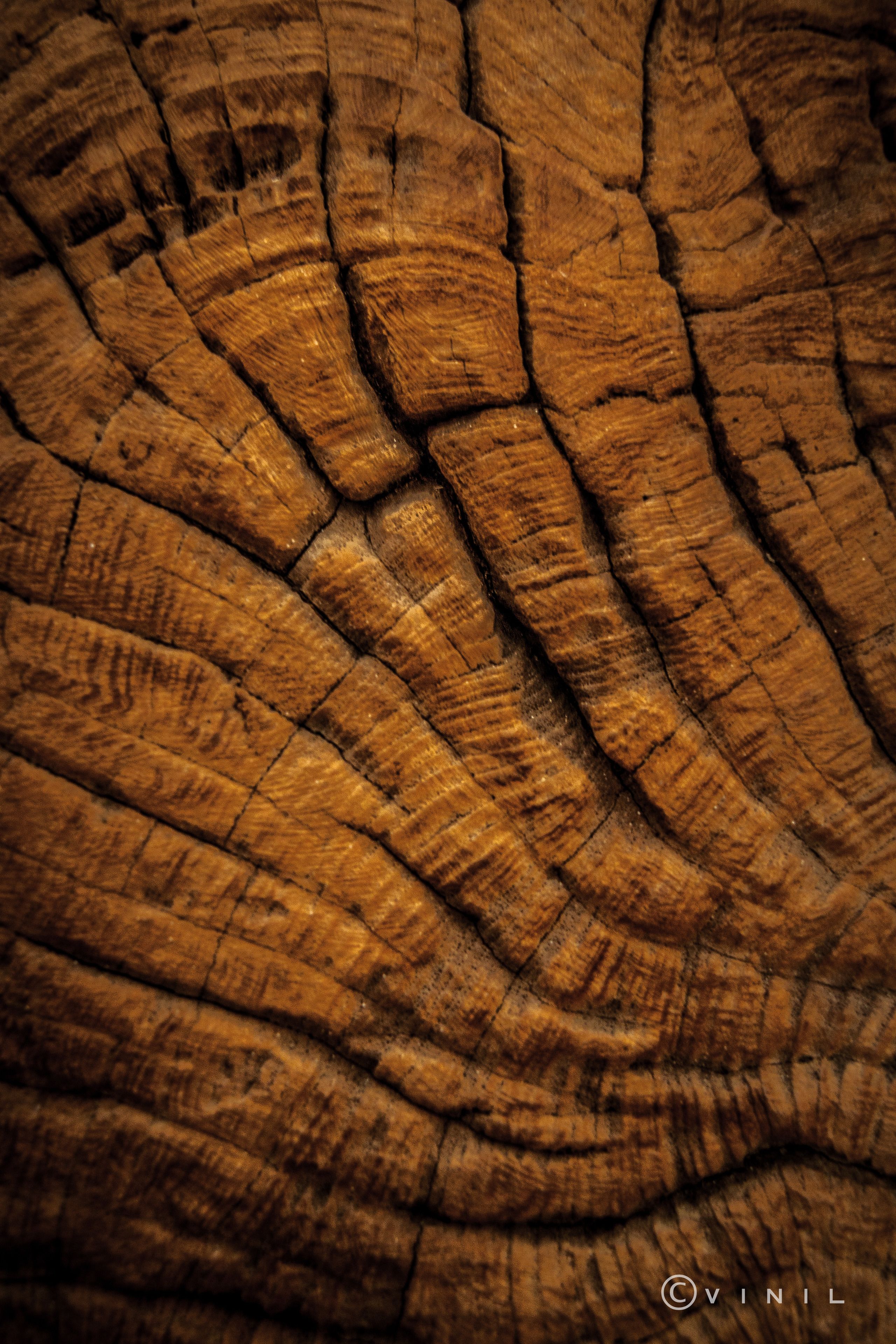 Un gros plan d’une surface en bois présentant un motif de veinage naturel.