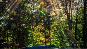 Un espace piscine avec une table et des chaises en bois, entouré d’arbres et sous un ciel dégagé.